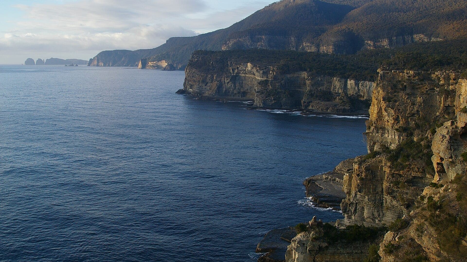 Coastal forest meeting sea cliffs on the Tasman Peninsula